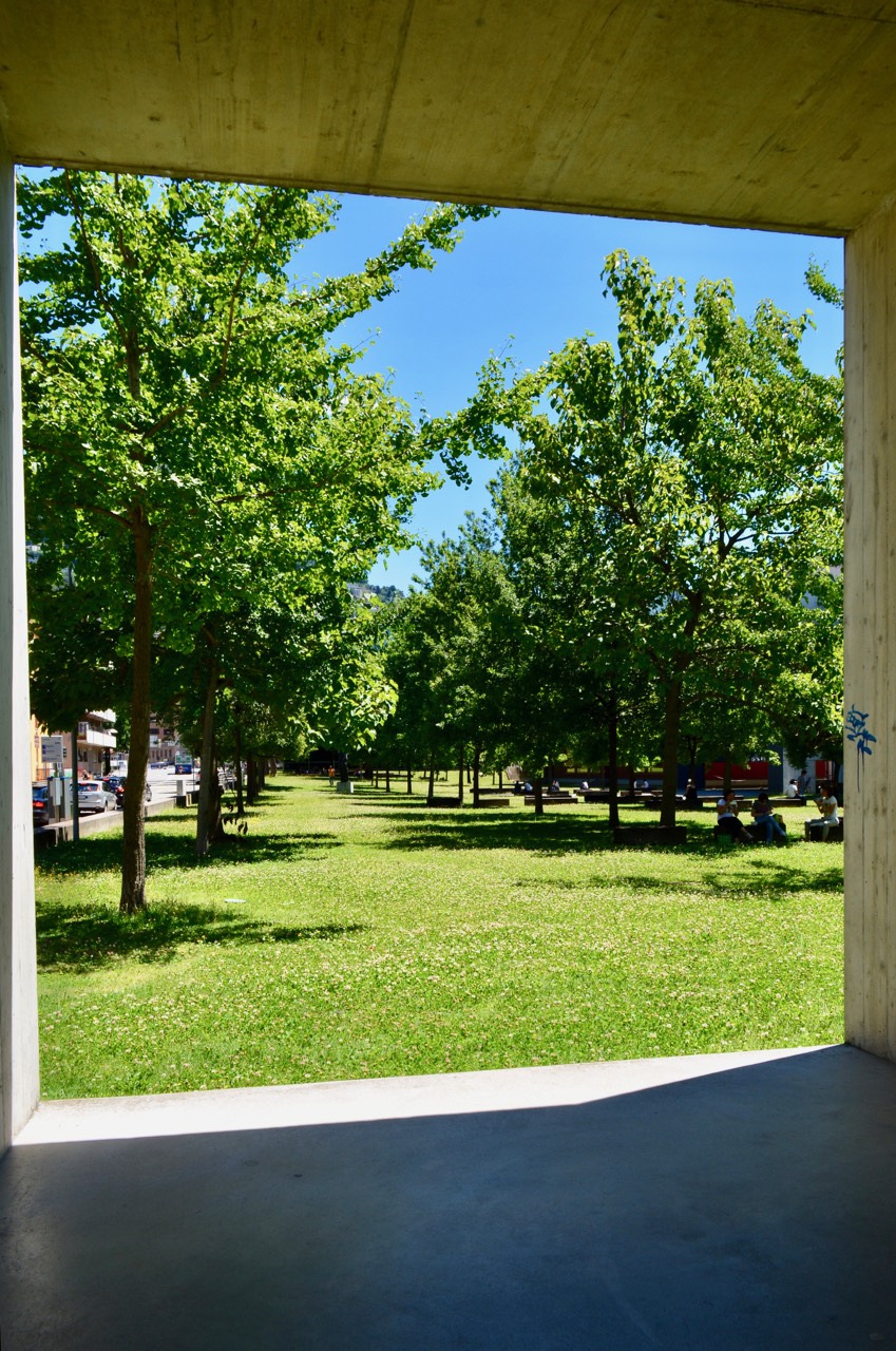  Front lawn from Library 