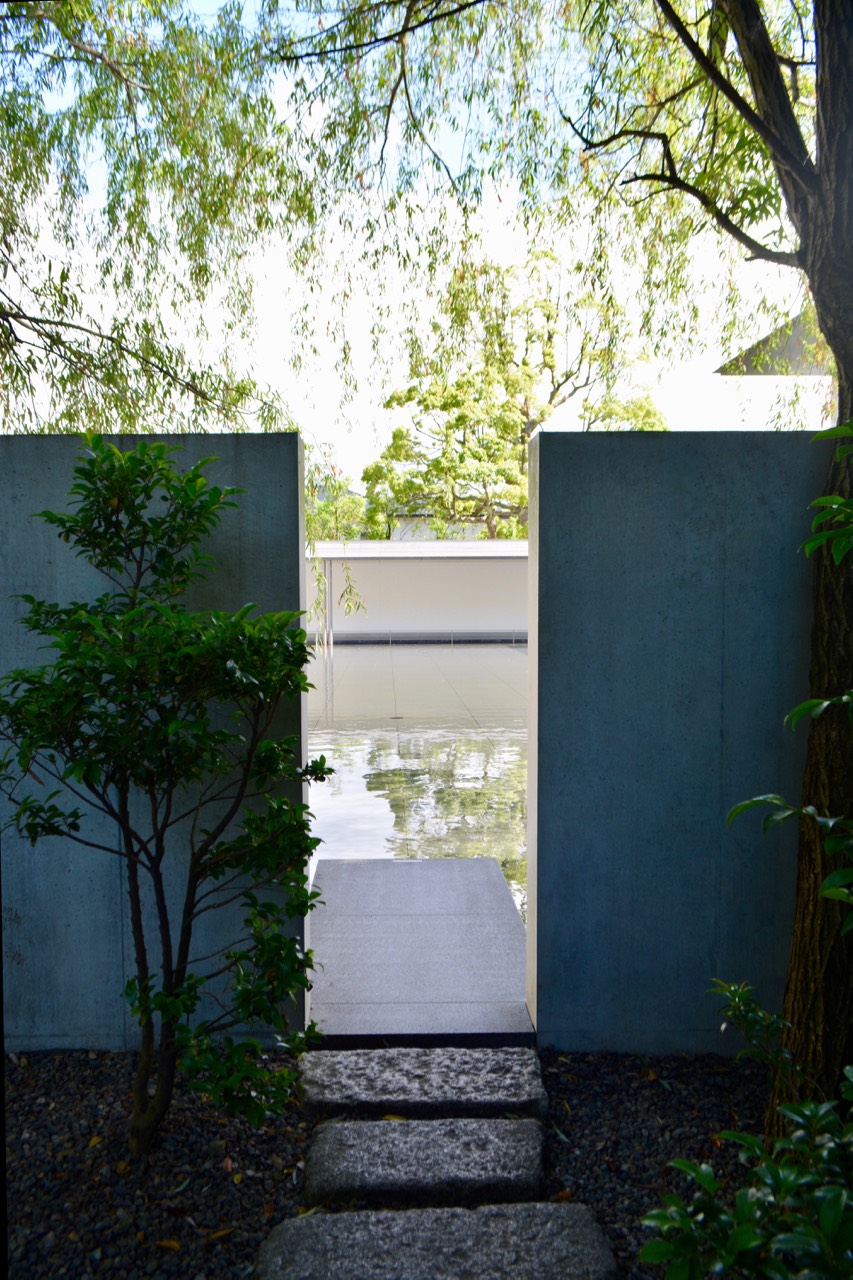  Pond from Garden Wall gap 