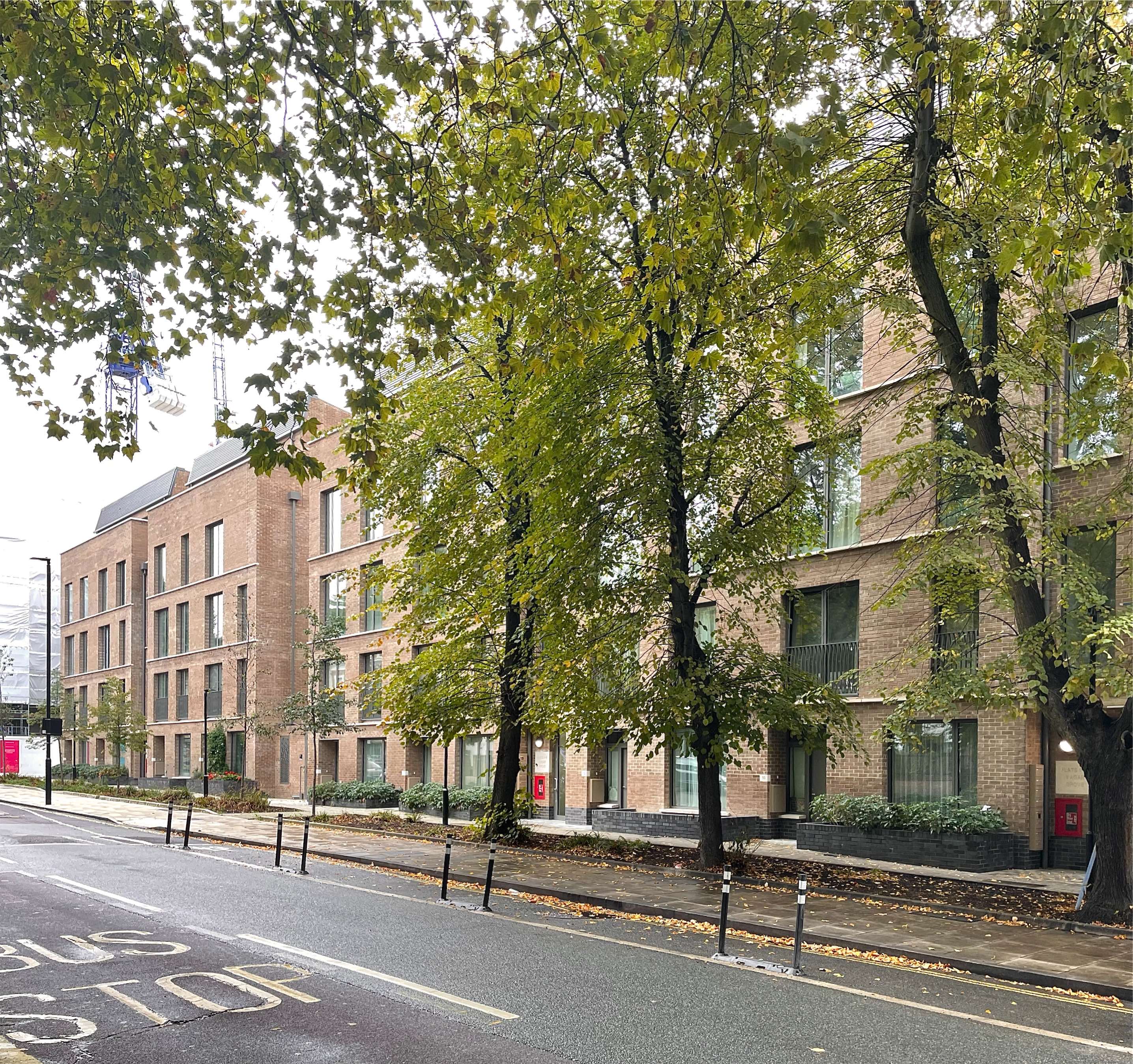  View from Agar Grove St. 